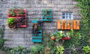 Plant-Shelves-From-Pallets